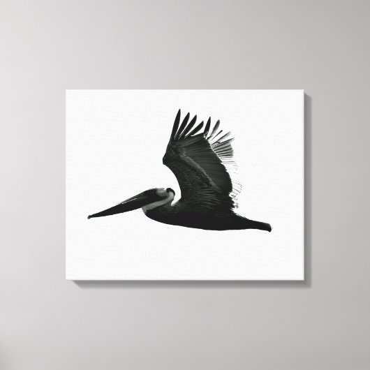 Pelican Print - "In Flight" Leinwanddruck (Vorderseite)