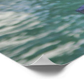 Pelican Print Poster (Ecke)