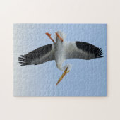 Pelican Puzzle 11x14 (Horizontal)