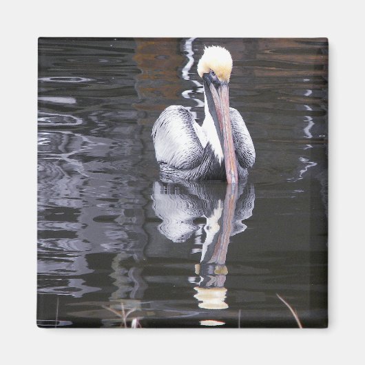 Pelican Reflection Magnet (Vorne)