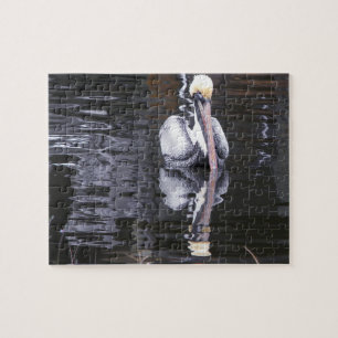 Pelican Reflection Puzzle