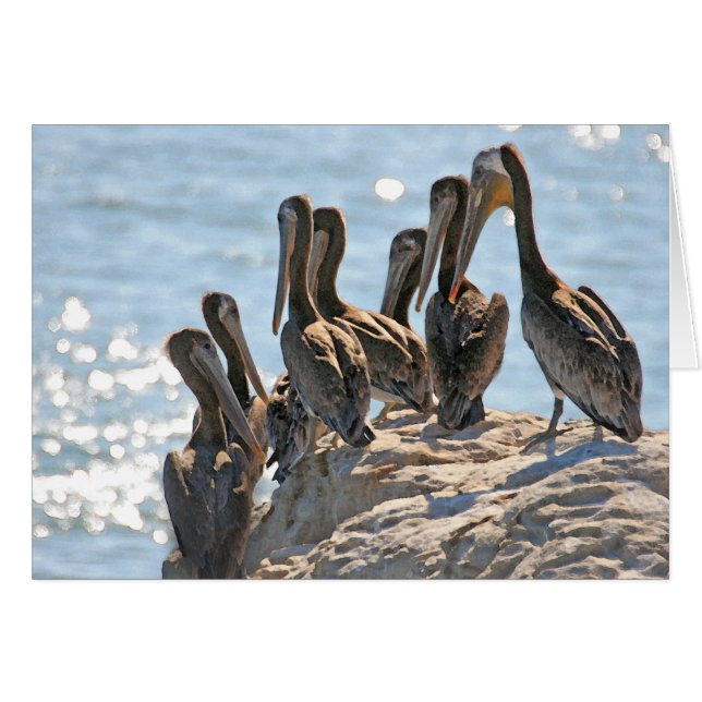 Pelican Rock (Vorderseite (Horizontal))