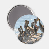 Pelican Rock Magnet (Vorderseite/Rückseite)
