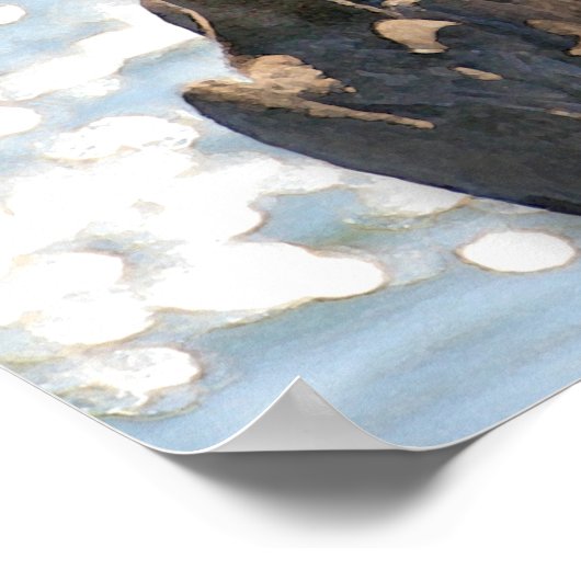 Pelican Rock Poster (Ecke)