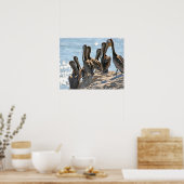 Pelican Rock Poster (Küche)