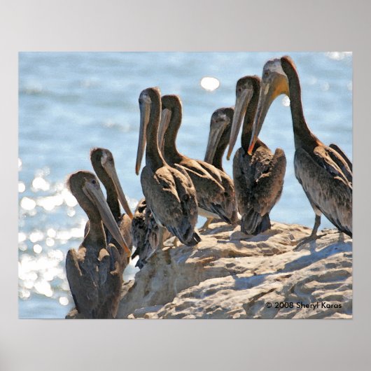 Pelican Rock Poster (Vorne)