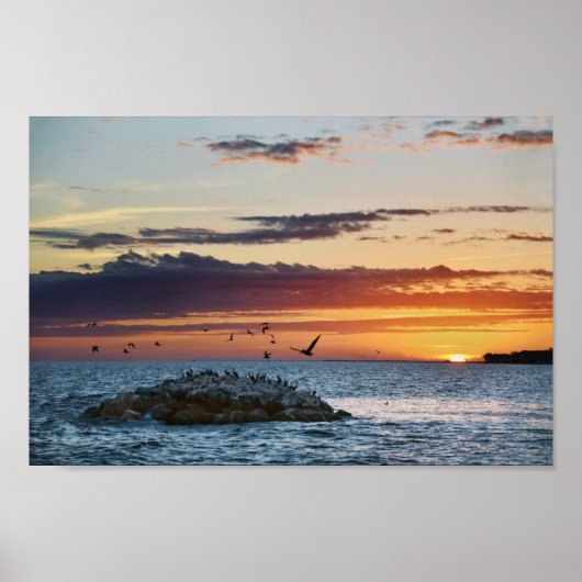 Pelican Rock Sunset, Dauphin Island, Alabama Poster (Vorne)