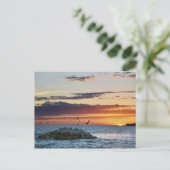 Pelican Rock Sunset, Dauphin Island, Alabama Postkarte (Stehend Vorderseite)
