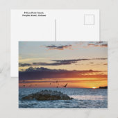 Pelican Rock Sunset, Dauphin Island, Alabama Postkarte (Vorne/Hinten)