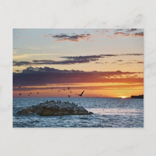 Pelican Rock Sunset, Dauphin Island, Alabama Postkarte (Vorderseite)