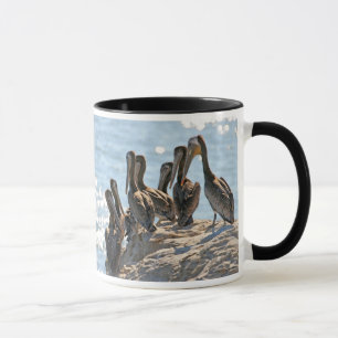 Pelican Rock Tasse