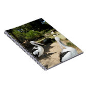 Pelican Sanctuary, Notebook Notizblock (Rechte Seite)