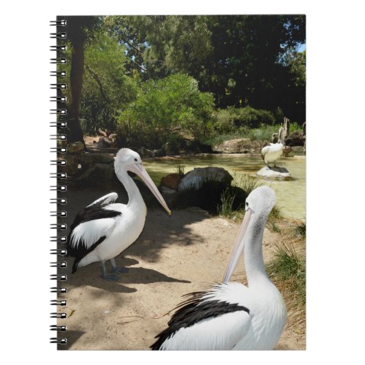 Pelican Sanctuary, Notebook Notizblock (Vorderseite)