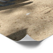 Pelican Sanctuary, Poster (Ecke)