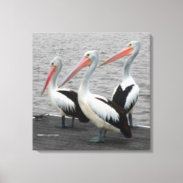 Pelican Sea Bird Minimalistisch Color Pop Fotograf Leinwanddruck