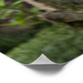 Pelican Serenity Ein faszinierender Blick Poster (Ecke)