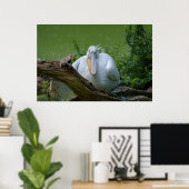 Pelican Serenity Ein faszinierender Blick Poster (Heimbüro)