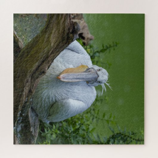 Pelican Serenity Ein faszinierender Blick Puzzle (Horizontal)