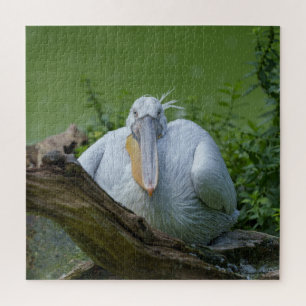 Pelican Serenity Ein faszinierender Blick Puzzle
