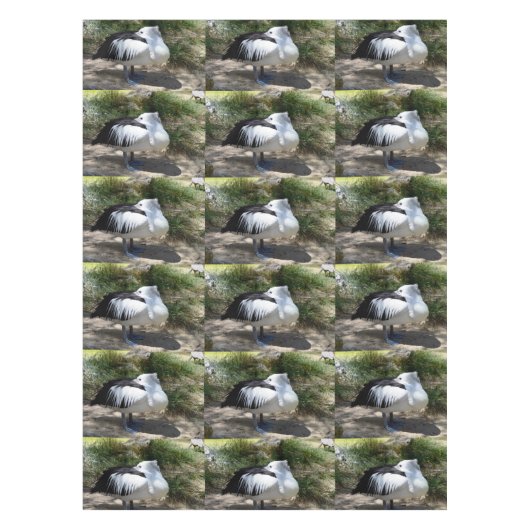 Pelican Siesta Time Tischdecke (Vorderseite)