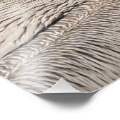 Pelican starrt mich an fotodruck (Ecke)