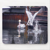 Pelican Start Mousepad (Vorne)