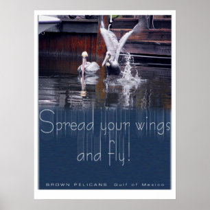 Pelican Start Poster