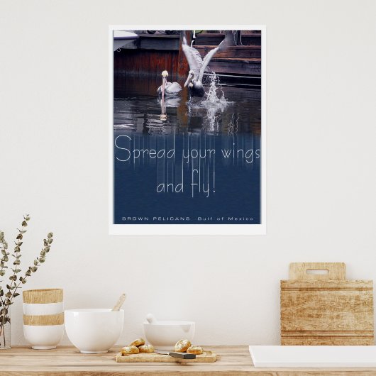 Pelican Start Poster (Küche)