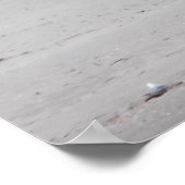 Pelican Stehend auf Post am Sandy Beach Poster (Ecke)