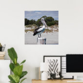 Pelican Stehend auf Post am Sandy Beach Poster (Heimbüro)