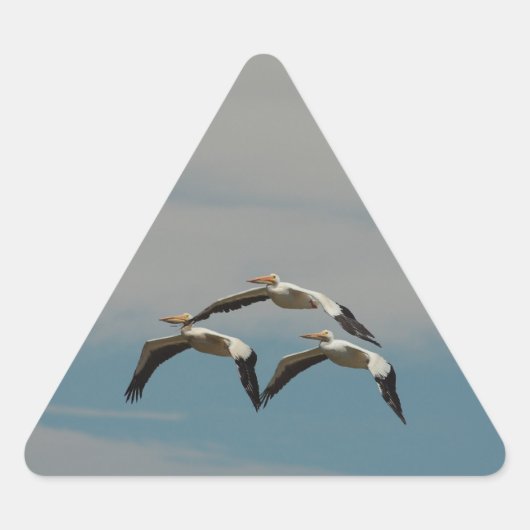 Pelican Sticker (Vorderseite)