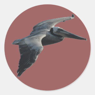 Pelican Sticker
