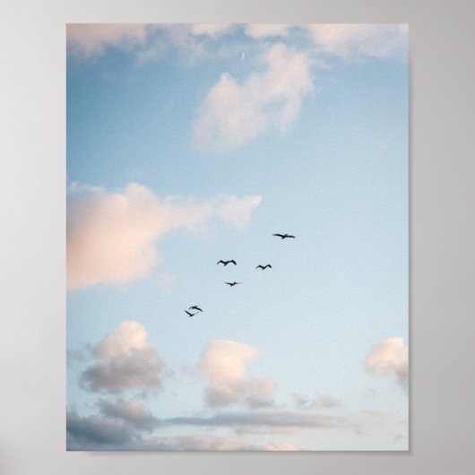 Pelican Sunset Print Poster Paper (Semi-Gloss) (Vorne)