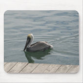 Pelican Swiming im Wasser Mousepad (Vorne)