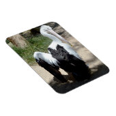 Pelican Time To Prepaid, Magnet (Rechte Seite)