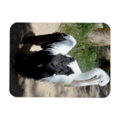 Pelican Time To Prepaid, Magnet (Horizontal)