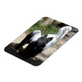 Pelican Time To Prepaid, Magnet (Linke Seite)