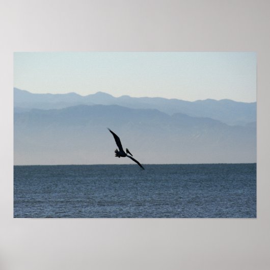 Pelican Turn to Dive Poster (Vorne)