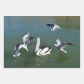 Pelican und die Gate Crashers, Geschenkpapier Set (Vorderseite 3)