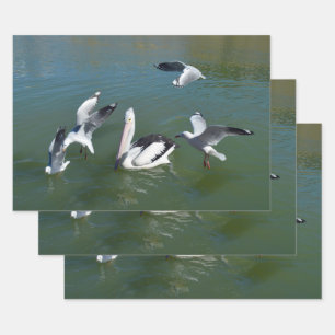 Pelican und die Gate Crashers, Geschenkpapier Set