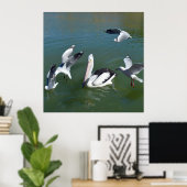 Pelican und die Gate Crashers, Poster (Heimbüro)