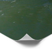 Pelican und die Gate Crashers, Poster (Ecke)