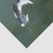 Pelican und die Gate Crashers, Seidenpapier (Detail)