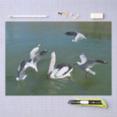 Pelican und die Gate Crashers, Seidenpapier (Handwerk)