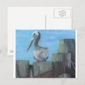 Pelican von Hatteras Ferry Postkarte (Vorne/Hinten)