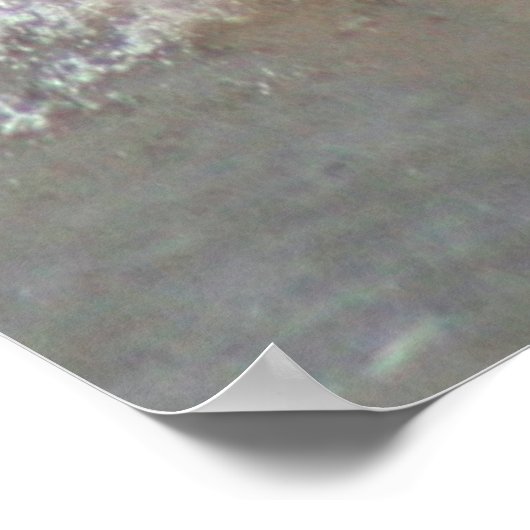 Pelican Wings Poster (Ecke)