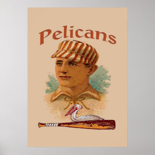 Pelicans Baseball-Poster Poster