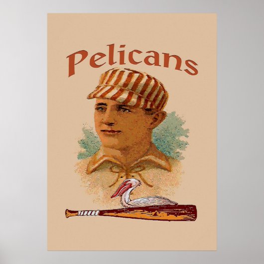 Pelicans Baseball-Poster Poster (Vorne)