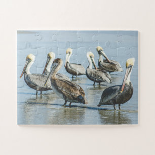 Pelicans Bird Nature Beach Oversifiziert Puzzle