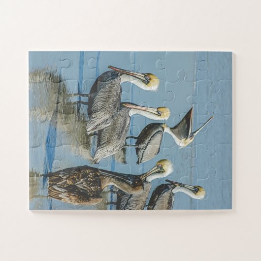 Pelicans Bird Nature Beach überdeckt Puzzle (Horizontal)